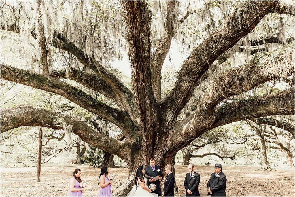 City Park New Orleans Wedding Oak Tree Ceremony Photos