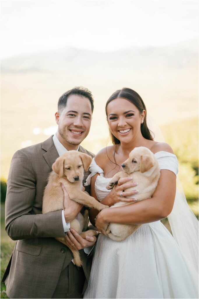 Rescue puppies with wedding couple at Rosebrook Lodge